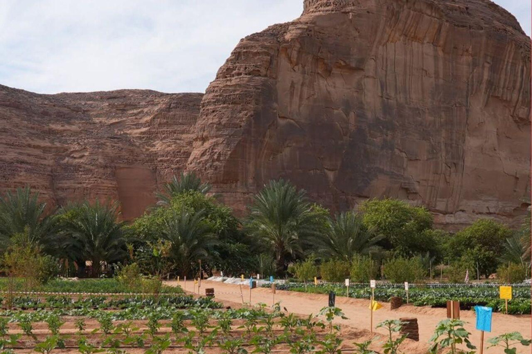 AlUla: Oasis Farm Tour and Traditional Feast with Locals