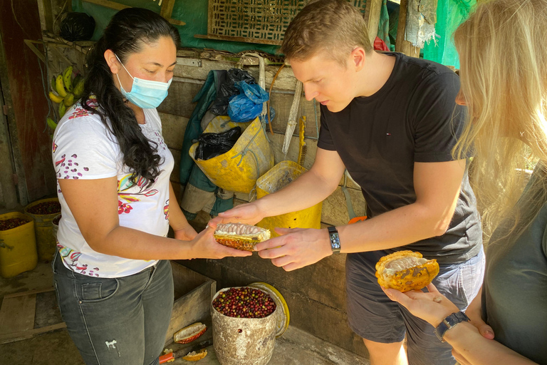 Medellín: Visita a una granja de cacao y elaboración de chocolate, cerca de la ciudadVisita compartida