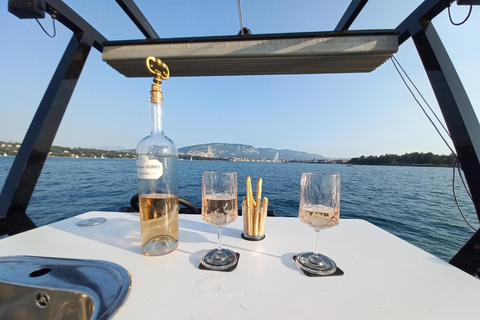 GENÈVE: PRIVAT KRYSSNING MED APERITIFGENEVA : PRIVAT KRYSSNING MED APERITIF