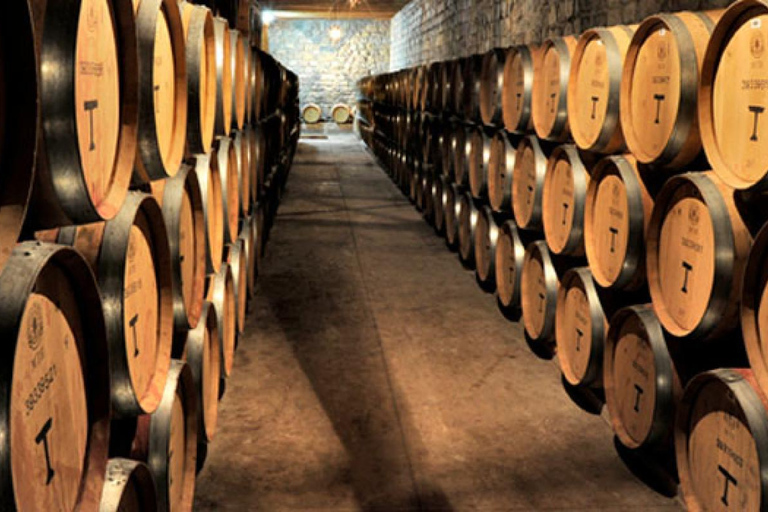 Z Santiago: Wycieczka do winnicy Viña Santa Rita z transferem