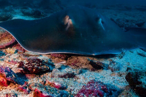 Panama City: 2 Day Coiba and Santa Catalina Tour