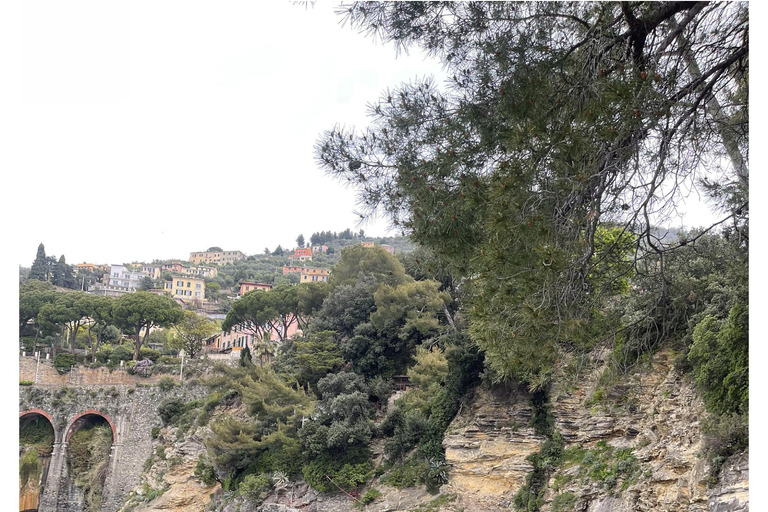 Tour of Genoa and the Ligurian Riviera: From Genoa to Portofino