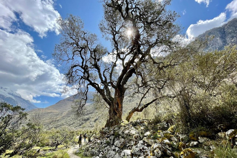 Huaraz: całodniowa laguna 69 + laguna Llanganuco