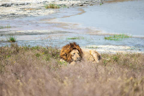Arusha: Safari de 4 días a Tarangire, Serengeti y Ngorongoro