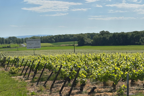 Champagne Day Tour Tours, tastings, and lunch included Champagne Tour Day Tours Tastings Lunch included