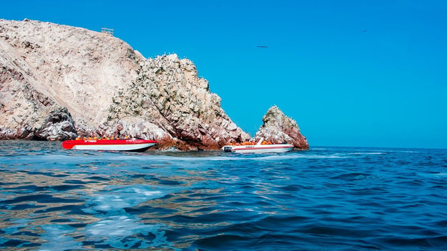 Paracas Adventure: Islas Ballestas, Buggies & Desierto