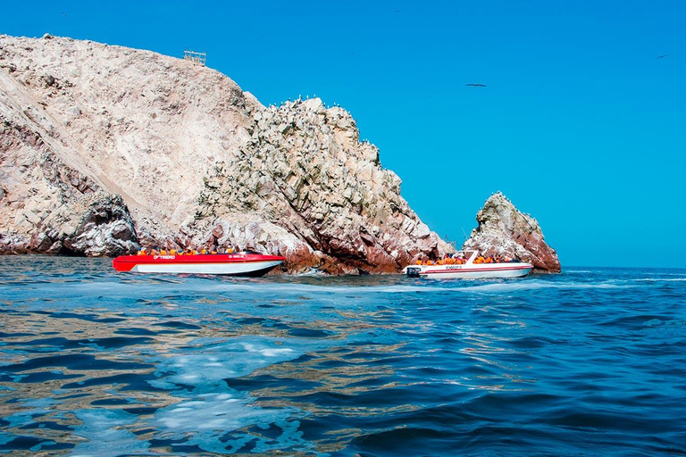 Paracas Adventure: Islas Ballestas, Buggies & Desierto