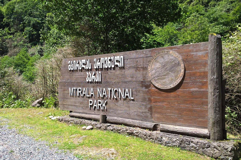 From Batumi: Mtirala National Park Guided Hike, Cable Car