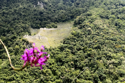 Inca Trail to Machu Picchu and Puerta del Sol Inca Trail to Machu Picchu and Puerta del Sol Panoramic Train