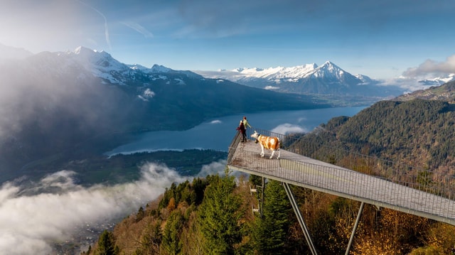 Interlaken: Guided Hike to Harder Kulm with Swiss Triathlete