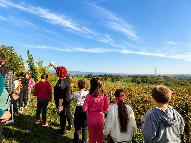 Lake Garda: Tour and Tasting of Olive Oil with Gourmet Food