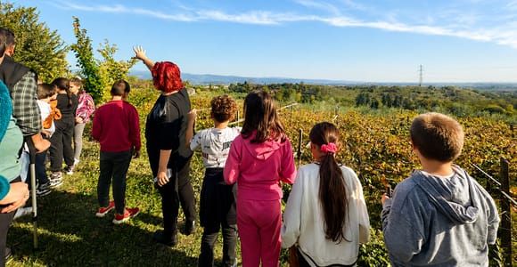 Lake Garda: Tour and Tasting of Olive Oil with Gourmet Food