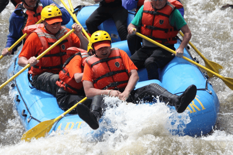 Sri Lanka: Wildwasser-Rafting und Abenteuer-Tagesausflug($40 PP)