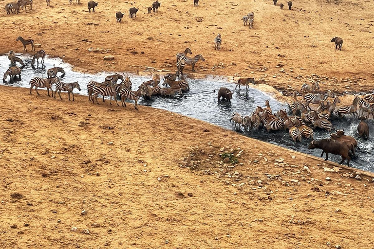 SAFARI DE 3 DÍAS AL PARQUE NACIONAL TSAVO ESTE Y OESTE