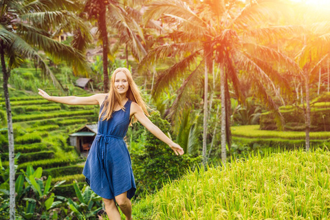 Ubud: Monkey Forest, Rice Terrace, Waterfall Private Tour Private Tour Without Entry Tickets