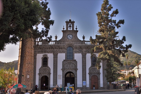 Gran Canaria Peaks in Minibus: Firgas, Teror, Aloe Vera tour Spanish - Picos de Gran Canaria Tour by Minibus