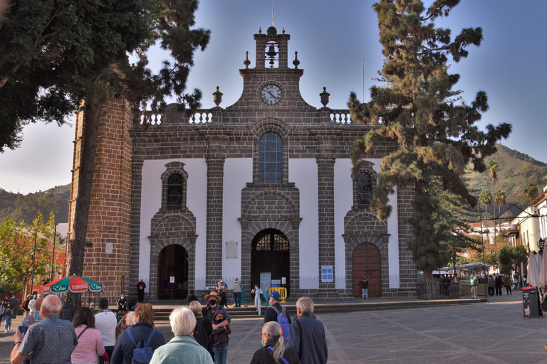 Gran Canaria Peaks in Minibus: Firgas, Teror, Aloe Vera tour Spanish - Picos de Gran Canaria Tour by Minibus
