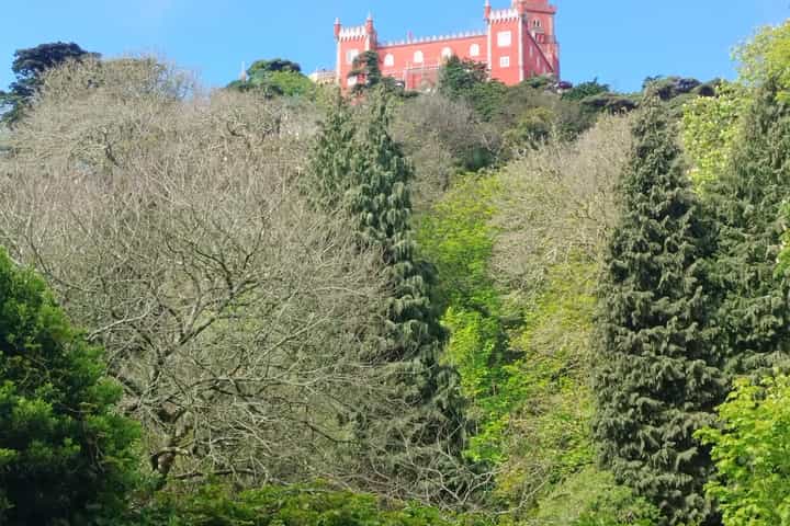 Image 6
