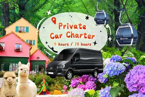 Seúl: servicio de alquiler de coche privado de medio día o día completo.