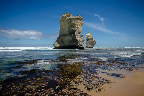 Melbourne: Great Ocean Road e foresta pluviale