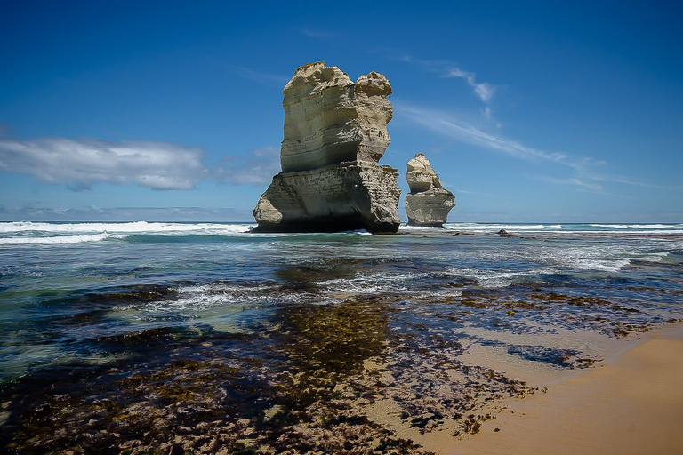 Melbourne: Great Ocean Road & Rainforest-trip