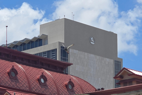 San José: Guided Historical & Cultural Walking Tour