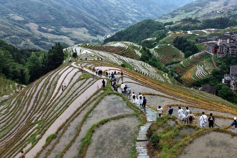 From Guilin: Longji Rice Terraces & Yao Village Day Trip Private Tour (English Driver-Guide)