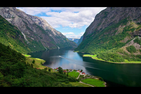 Private day tour to Flåm&RIB Sognefjord Safari&Flåm Railway