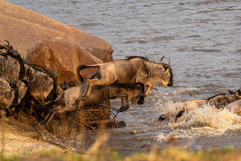 Masai Mara: safari di 4 giorni per la grande migrazione degli gnu