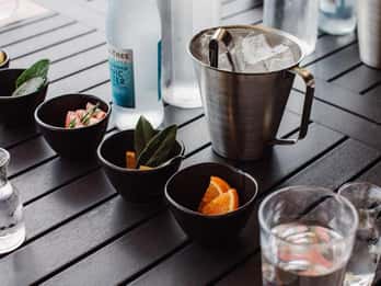 Never Never Distilling Co. Мастер-класс по джину премиум-класса