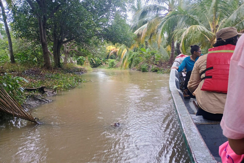 Get to know the beauty of the Salamanca Island's Lathe Swamp