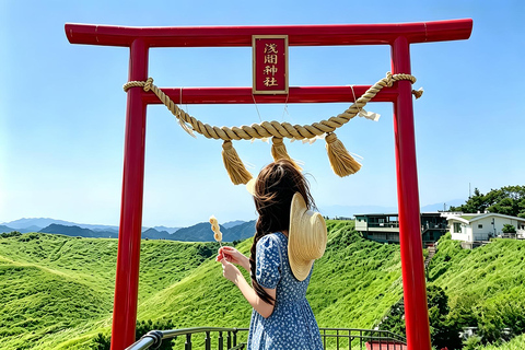 Small Group Day Tour:Omuro Mountain & the Izu Scenic Railway Hotel Transfer Option
