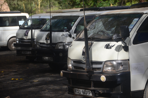 From Nairobi: 3-Day Amboseli & Ngutuni Safari with Transfers