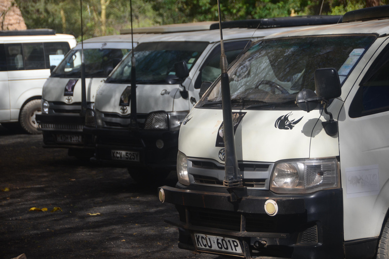 From Nairobi: 3-Day Amboseli & Ngutuni Safari with Transfers