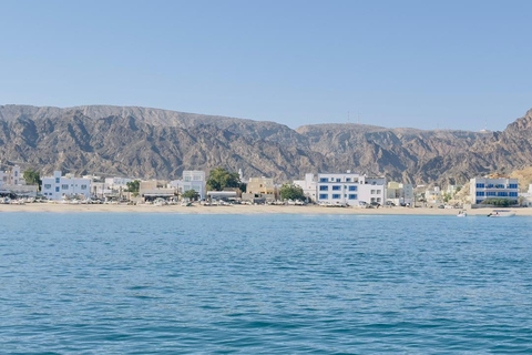 Muscat Dolphin Watching with Village Cruising Tour