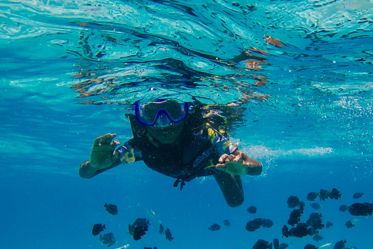 Coronado Island and Snorkel Tour
