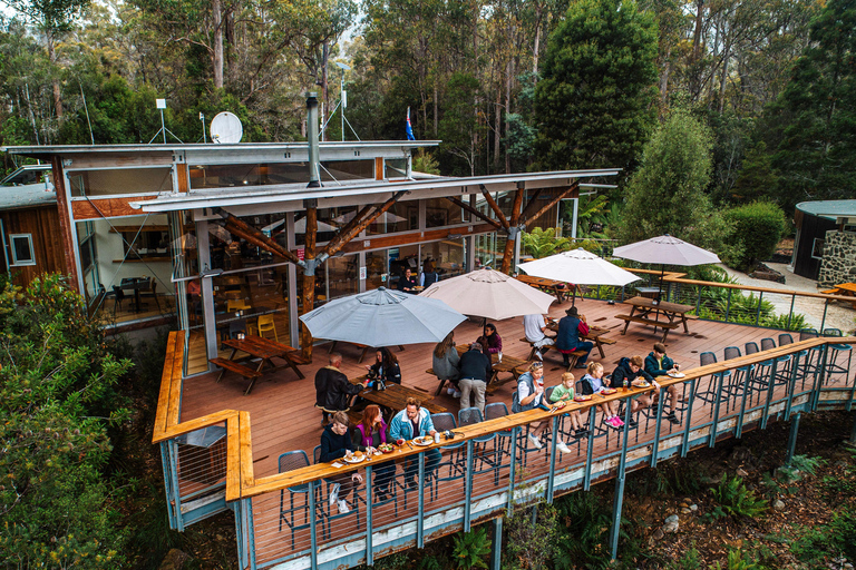 Huon Valley: Tahune Adventures Airwalk Site Entry Ticket