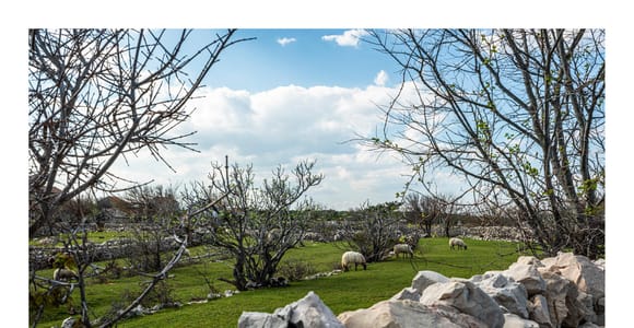 Island Krk: Guided 3-Hour Photography Walk to Hidden Gems