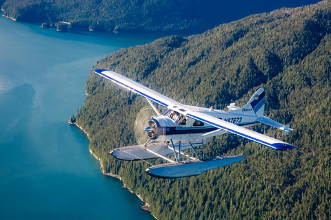 Ketchikan: Misty Fjords National Monument Floatplane Tour