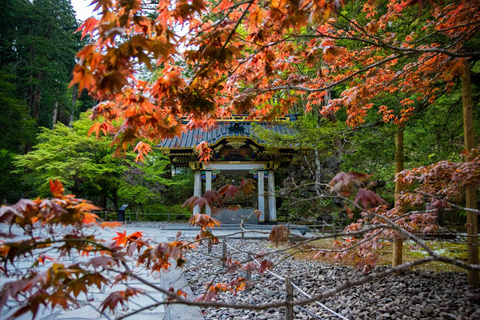 Aventura de Élite en Nikko: Tour guiado privado