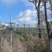 Private Full Day Tour - Huon Valley and Cygnet