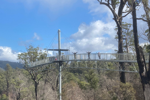 Private Full Day Tour - Huon Valley and Cygnet