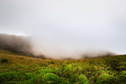 Trek at Doi Inthanon National Park &amp; Pha Dok Siew Trail Trek