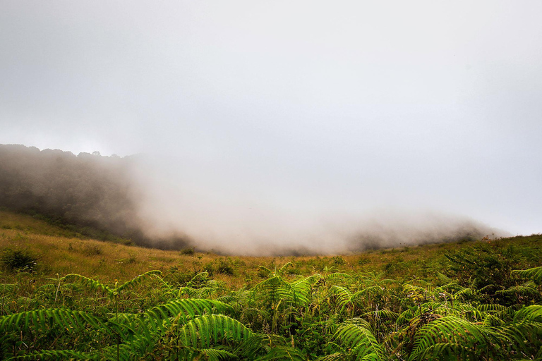 Doi Inthanon National Park & Hiking Kew Mae Pan Nature Trail