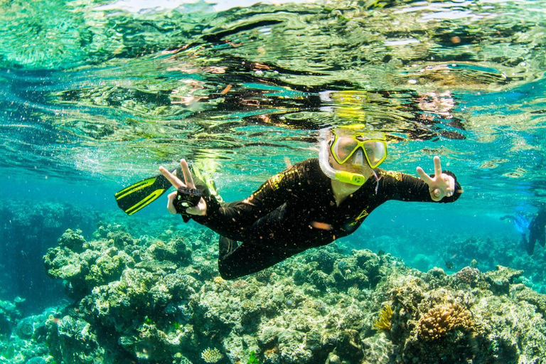 Cairns Great Barrier Reef: Snorkel Day TripSnorkelling Trip