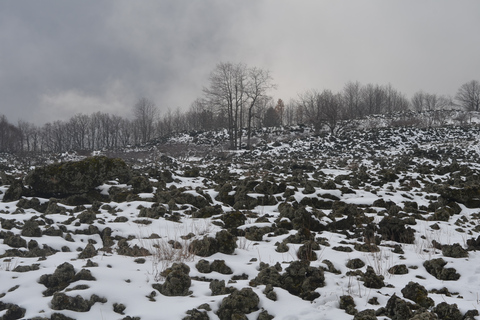 Trekking guidé sur l'EtnaTrekking sur l'Etna