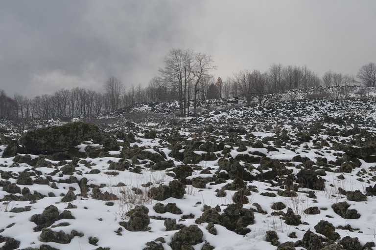 Mount Etna Guided Trekking Tour Etna Trekking