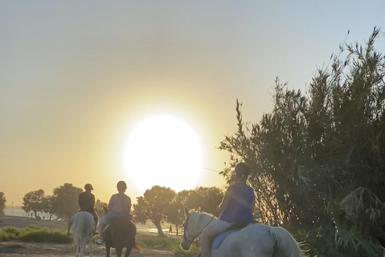 جزيرة رودس: ركوب الخيل على الشاطئ عند غروب الشمس