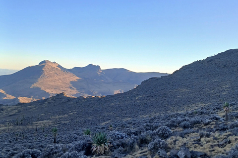 Nordäthiopien erkunden: 17-tägige Tour
