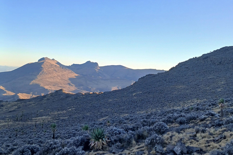Nordäthiopien erkunden: 17-tägige Tour